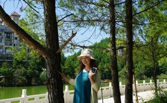 夏紫曦穆景天全文免费